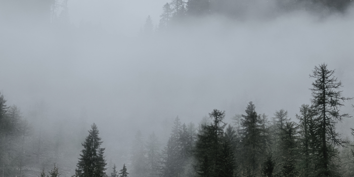 Fog and Mountain Timelapse