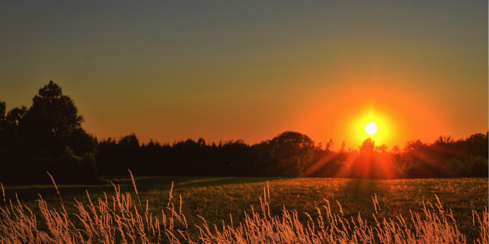 Sunset timelapse