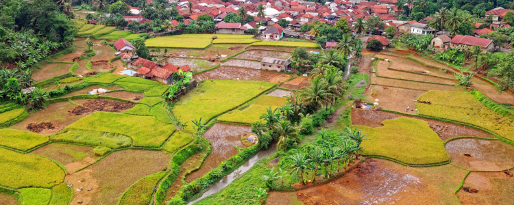 Beautiful Villages Land Timelapse
