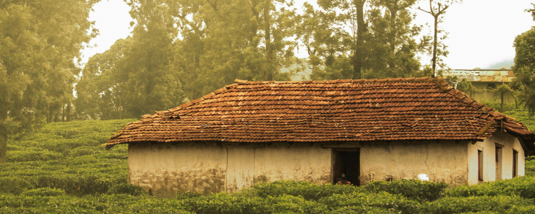 Beautiful Villages Timelapse Image